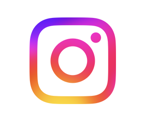 The Instagram icon